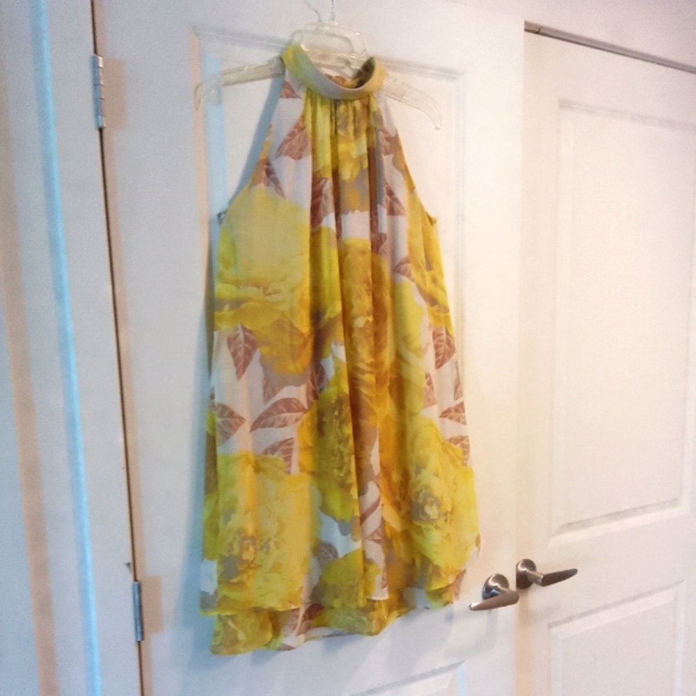 Eliza J Chiffon Classic